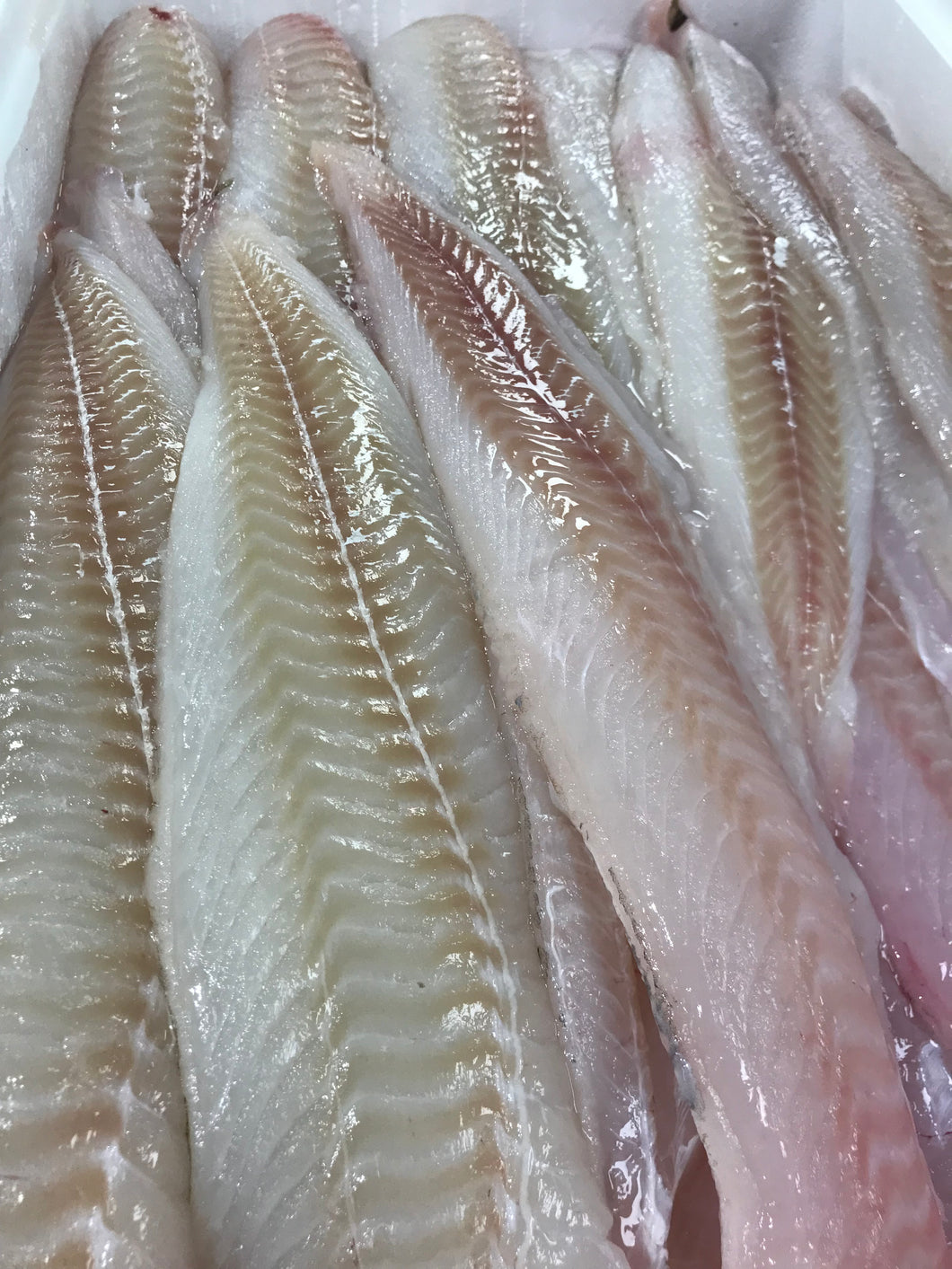 Skinless Cod Skinless & Boneless Cod fillet x3kg – Fish4Home by Dennis Crooks